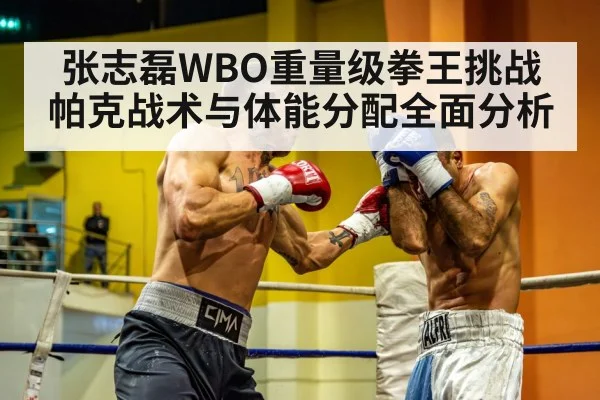 张志磊WBO重量级拳王挑战帕克战术与体能分配全面分析